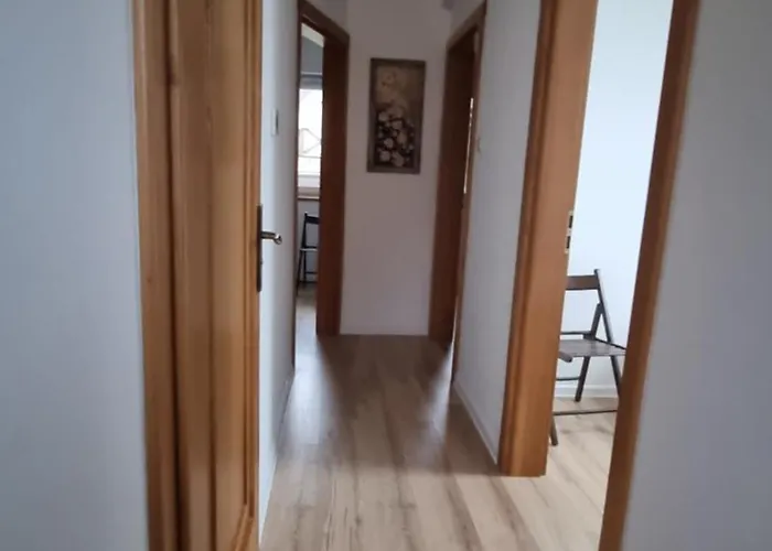 Moje Mazury Wilk Willa *